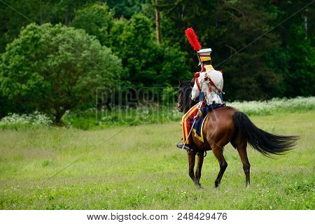 Cavalryman Ride On Beautiful Brown Horse At Green Grass Meadow, Forest View