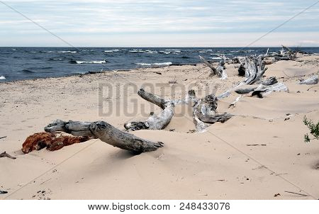Riga Gulf Coast Near Carnikava . Coast At Low Tide.