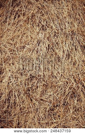 Halm Stack, Dry Stems And Leaves Of Small Cereals