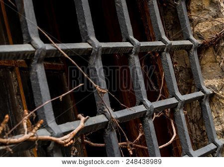 Iron Black Grille Forged Powerful Protection Window Part, City Landscape