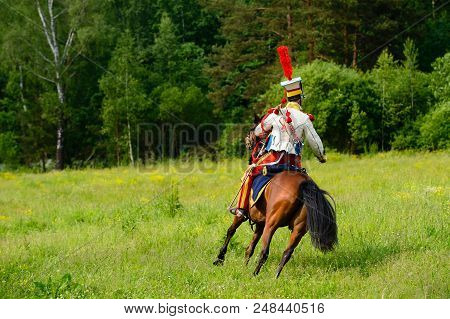 Cavalryman Ride On Beautiful Brown Horse At Green Grass Meadow, Forest View