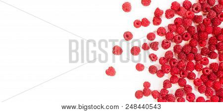 Dripping Raspberry On White Background. Close-up Photo.