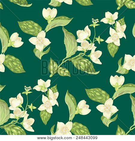 Jasmine Flower Vector Graphic Illustration Seamless Pattern