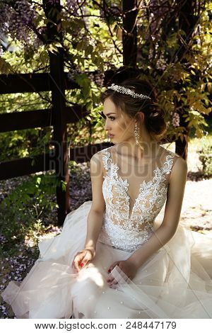 Beautiful Young Woman Bride  In Luxurious Wedding Dress And Diadema