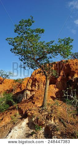 Hells Kitchen Canyon Of Marafa