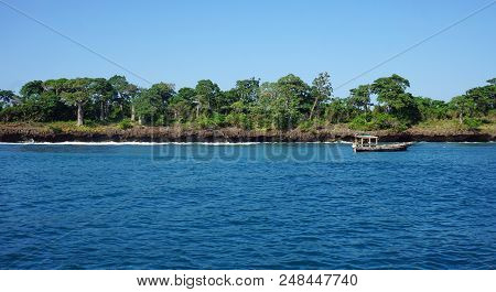 Tropical Wasini Island