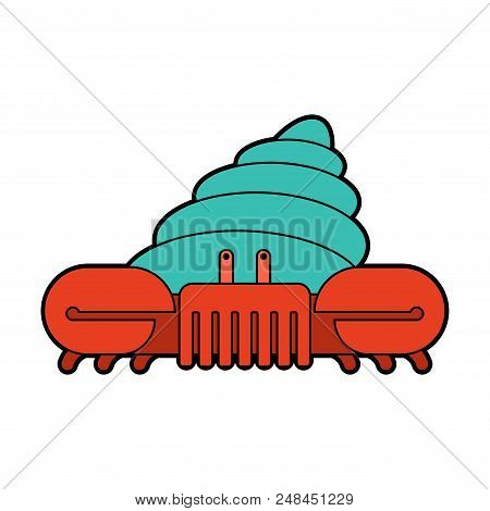Crab Hermit  Isolated. Crab In Shell. Marine Animal Vector Illustration