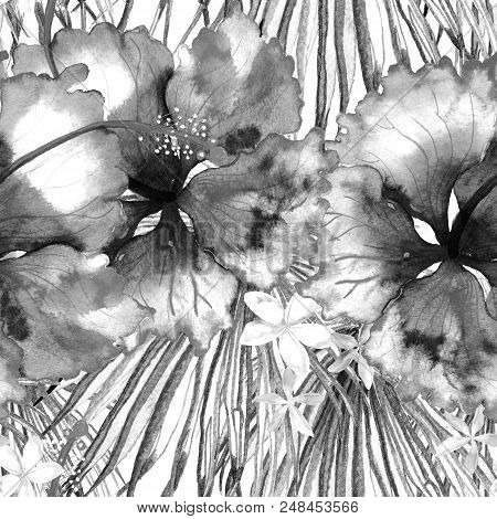 Tropical Pattern. Watercolor Exotic Flowers And Monstera Leaves.  Black White Plants In Seamless Pat