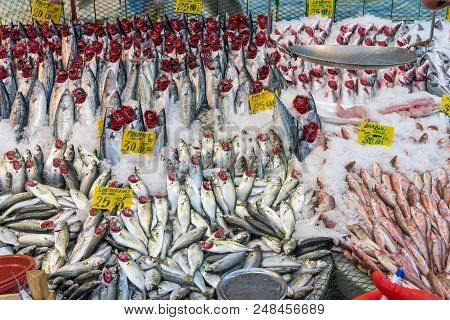 Choice Of Fish For Sale At A Market In Istanbul, Turkey