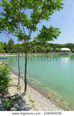 Sumac (lat. Rhus) On The Bank Of The Mountain Lake Abrau