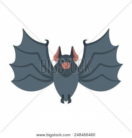 Bat Isolated. Night Animals Vampire. Vector Illustration