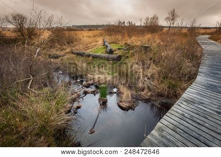Autumn View Of The Hautes Fagnes On Top Of Belgium In Wallonia.