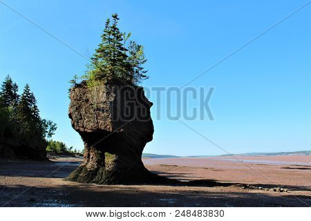 A Flower Pot Rock Formation During Low Tide At Hopewell Rocks, New Brunswick.