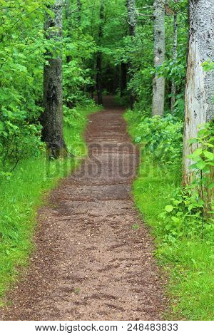 Travelling Along A Rain-soaked Red Earth Path In Prince Edward Island