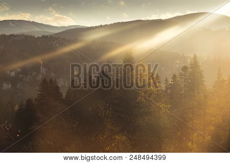 Bright Sunrise Light Shining Through The Trees Over Predeal City, Seen From Above.
