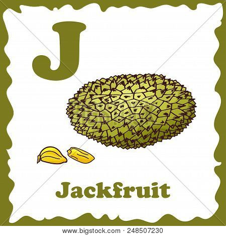 Alphabet For Kids With Fruits. Healthy Letter Abc J-jackfruit.