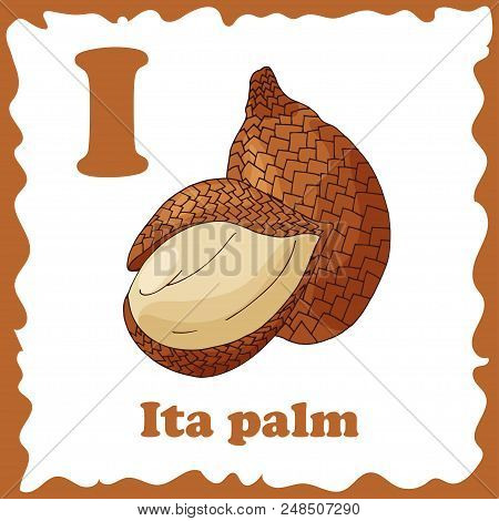Alphabet For Kids With Fruits. Healthy Letter Abc I-ita Palm.
