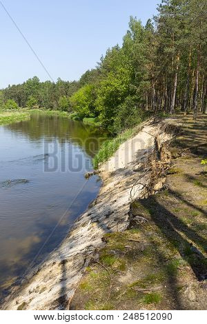 Lowland Nida River, Landscape Of The Nida Valley, Poland