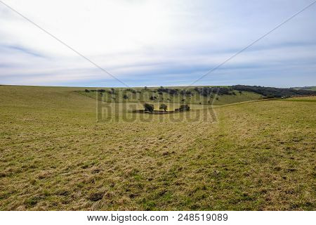 South Downs National Park, Grassland Space With Three Trees In A Hollow With Derelict Buildings.