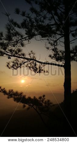 Beautiful sunrise and silhouette tree in mountain of thailand.