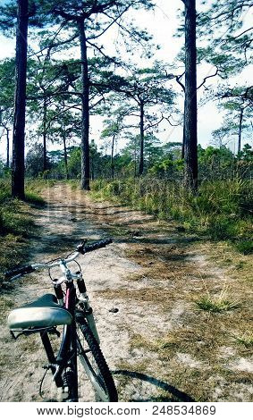 Bike Trail On The Mountain Of Thailand.