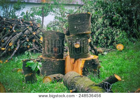 Chops Tree In Wood With Sharp Ax, Close Up Axe, Wood Chips Fly. Horizontal, Blurred Background