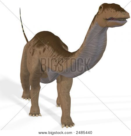 Apatosaurus Aka Brontosaurus