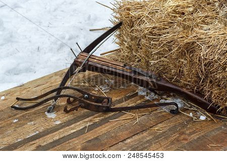 Crossbow. Arrows For Archery And Crossbow Shooting. National Sports Entertainment In The Open Air.