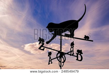 Weather Vane Is A Home Instrument Showing Direction Of Wind - Typically Used As An Architectural Orn