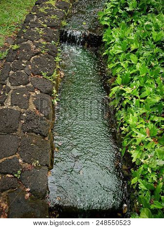 Stream Flowing Down A Stone Channel Framed By Lava Rock Wall And Ferns With Jade Colored Water Patte
