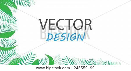 Trendy Tropical Leaves Vector Design. Vector Banners. Frame Design For Text. Banner With Tropical Pl