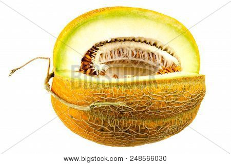 Melon Isolated On White Background. Copy Space For Text.