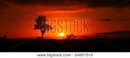Chory Sunrise
