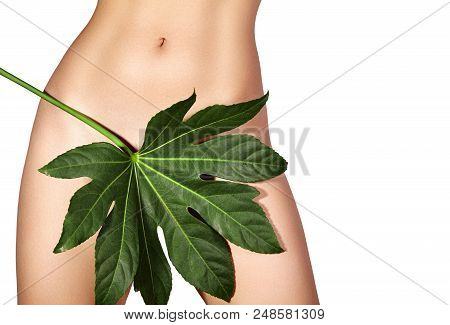 Waxing For Beautiful Woman. Brazilian Laser Hair Removal Bikini Line An Sexy Body Shapes. Body Care