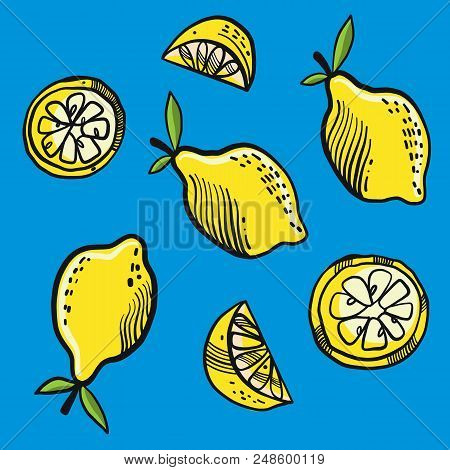 Fresh Lemon Fruits, Collection Of Vector Illustration Isolated On Background.