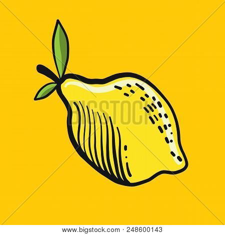 Fresh Lemon Fruits, Collection Of Vector Illustration Isolated On Background.