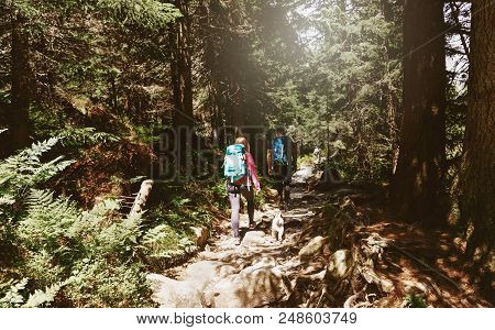 Couple Travelers With Backpack And Little Dog Walking Dense Forest. Travel And Backpacking Lifestyle