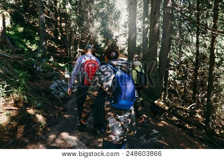 Group Of Tourists With Backpack Walking Dense Forest. Travel And Backpacking Lifestyle Concept
