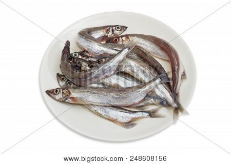 Several Defrosted Uncooked Capelins On The White Dish On A White Background