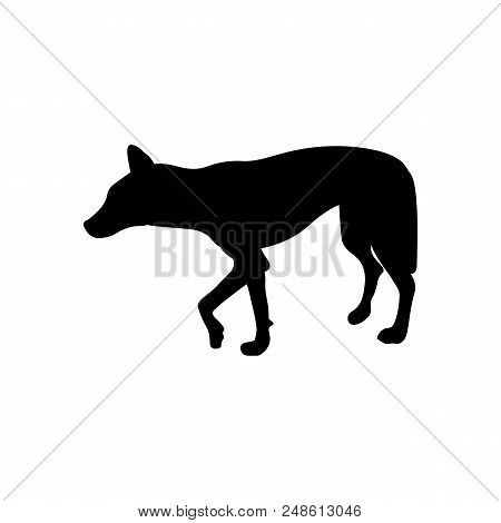 The Australian Dingo Silhouette On The White Background, Vector Illustration