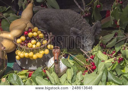 Different Varieties Of Cherries.decorated In A Typical Folk Metal Old Pot, With  Waterpots And A Dol