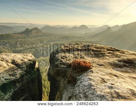 Morning View Over Sandstone Cliff Into Misty Valley. Sandstone Peaks Increased From Foggy Cloud Warm