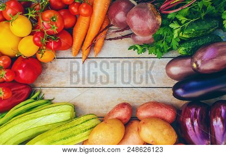 Different Bio Vegetables. Selective Focus. Bio Food.