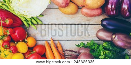 Different Bio Vegetables. Selective Focus. Bio Food.