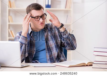 Young student studying over internet in telelearning concept