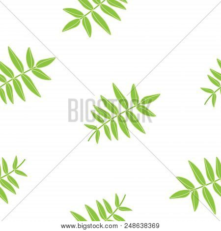 Palm Leaf Pattern