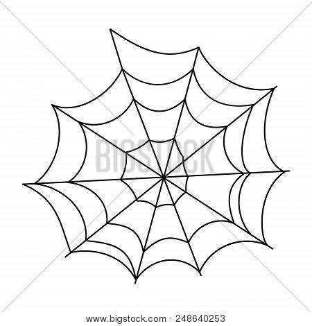 Cobweb Spider Vector