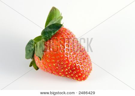 Fragola