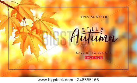 Autumn Sale Banner Template. Vector Illustration With Autumn Landscape And Calligraphy Lettering. Ma