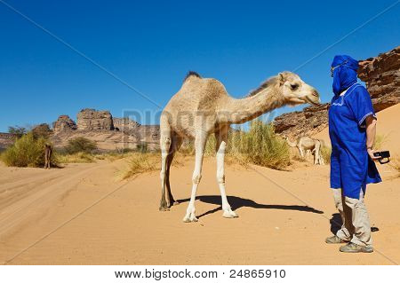 Turismo e cammello nel deserto del Sahara